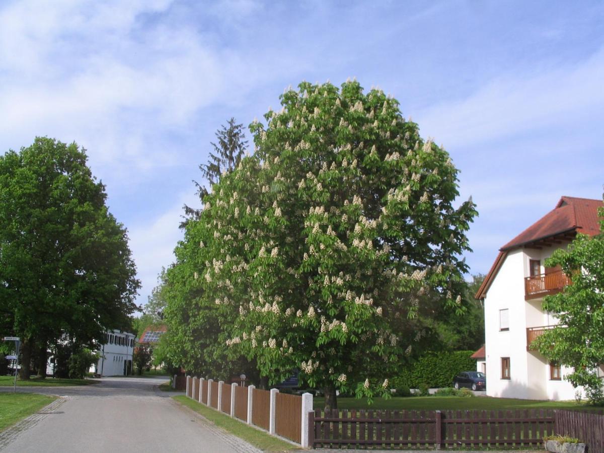 Pension Eva Neuhaus am Inn Exterior foto